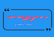 النبي الذي ابتلعه الحوت في البحر