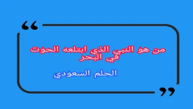 النبي الذي ابتلعه الحوت في البحر