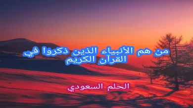 من هم الأنبياء الذين ذكروا في القرآن الكريم