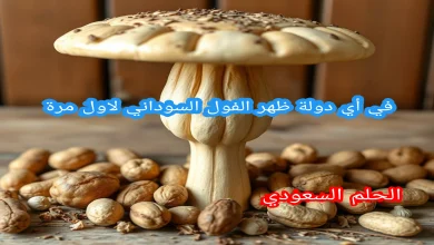 الفول السوداني ويكيبيديا