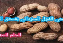 لماذا سمي الفول السوداني بفستق العبيد