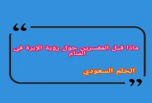 ماذا قيل المعبرين في التأويل حول رؤية الإبرة في المنام