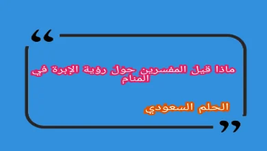 ماذا قيل المعبرين في التأويل حول رؤية الإبرة في المنام