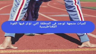 کمیات متجهة توجد في المنطقة التي تؤثر فيها القوة المغناطيسية