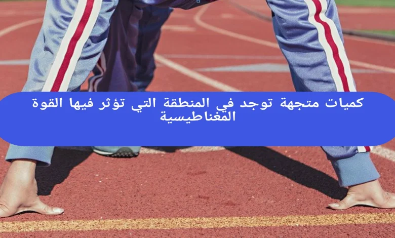کمیات متجهة توجد في المنطقة التي تؤثر فيها القوة المغناطيسية