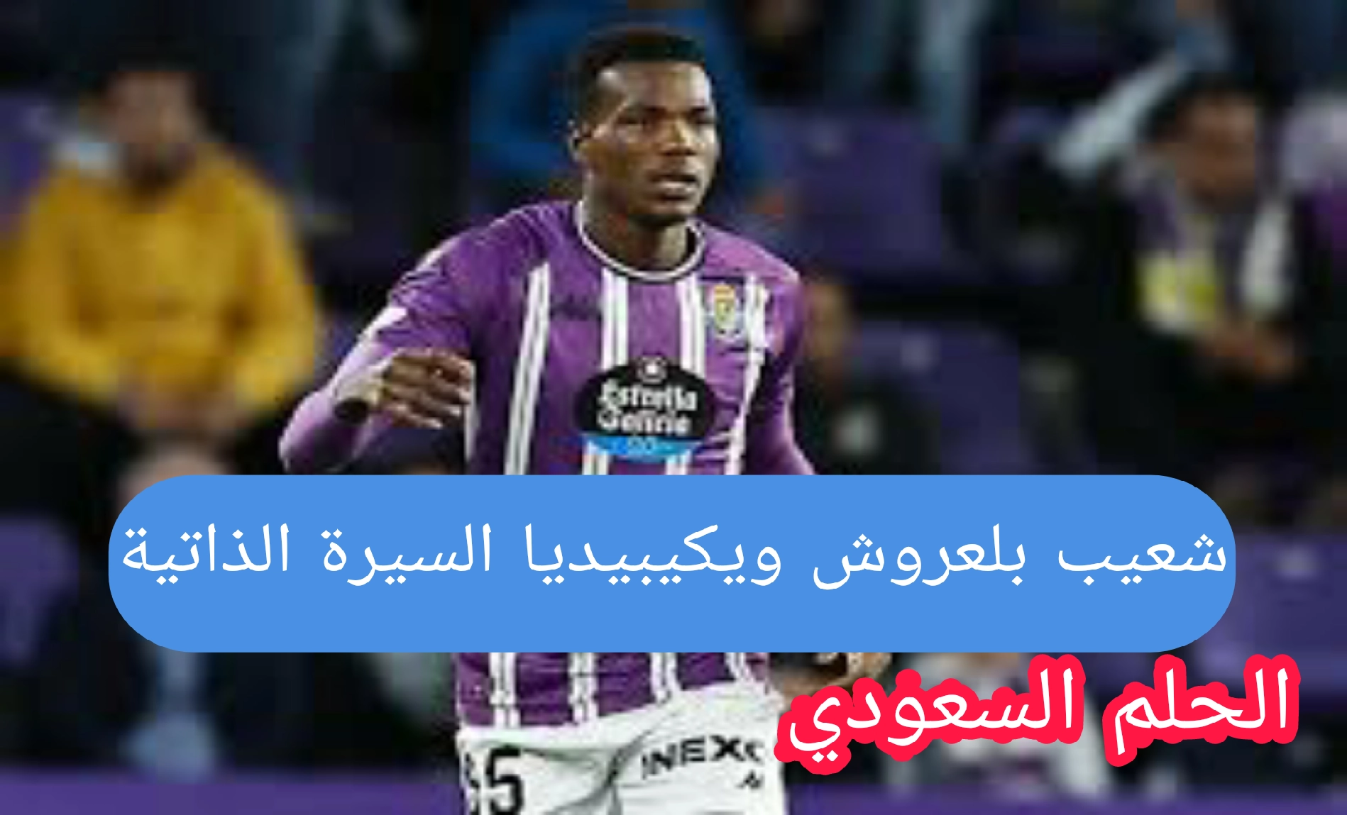 شعيب بلعروش ويكيبيديا السيرة الذاتية
