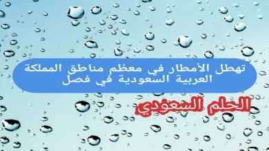 تهطل الأمطار في معظم مناطق المملكة العربية السعودية في فصل