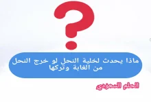 ماذا يحدث لخلية النحل لو خرج النحل من الغابة وتركها