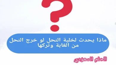 ماذا يحدث لخلية النحل لو خرج النحل من الغابة وتركها