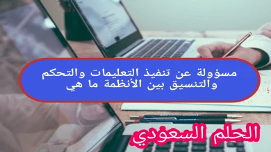 مسؤولة عن تنفيذ التعليمات والتحكم والتنسيق بين الأنظمة