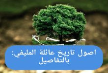 عائلة المليفي ويكيبيديا