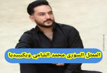 الممثل السوري محمد الشامي ويكيبيديا