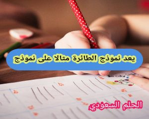 يعد نموذج الطائرة مثالا على نموذج