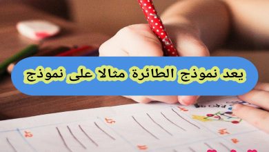 يعد نموذج الطائرة مثالا على نموذج