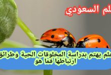 علم يهتم بدراسة المخلوقات الحية وطرائق ارتباطها