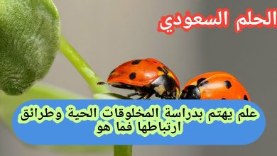 علم يهتم بدراسة المخلوقات الحية وطرائق ارتباطها