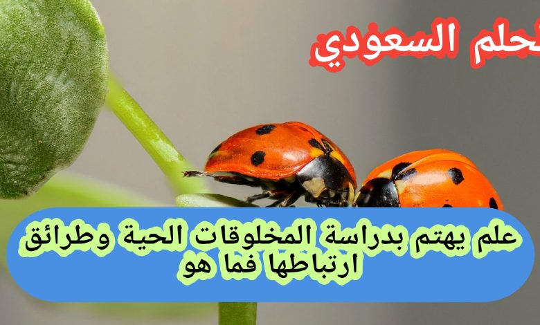 علم يهتم بدراسة المخلوقات الحية وطرائق ارتباطها