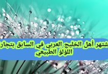 اشتهر أهل الخليج العربي في السابق بتجارة اللؤلؤ الطبيعي صواب ام خطأ