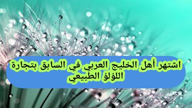 اشتهر أهل الخليج العربي في السابق بتجارة اللؤلؤ الطبيعي صواب ام خطأ