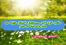 ملعب كرة اليد مستطيل الشكل طوله 40 مترًا وعرضه 20 مترًا صواب ام خطا
