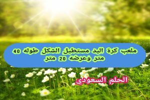 ملعب كرة اليد مستطيل الشكل طوله 40 مترًا وعرضه 20 مترًا صواب ام خطا