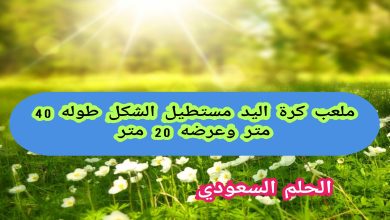 ملعب كرة اليد مستطيل الشكل طوله 40 مترًا وعرضه 20 مترًا صواب ام خطا