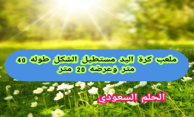ملعب كرة اليد مستطيل الشكل طوله 40 مترًا وعرضه 20 مترًا صواب ام خطا