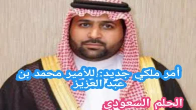 الأمر الملكي الأمير محمد بن عبد العزيز بن محمد بن عبد العزيز آل سعود