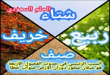 السبب الرئيسي في حدوث الفصول الأربعة هو ميلان محور دوران الارض صواب خطا