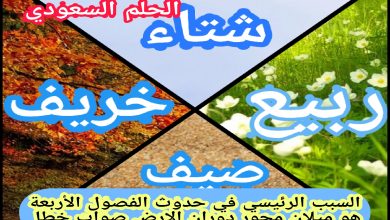 السبب الرئيسي في حدوث الفصول الأربعة هو ميلان محور دوران الارض صواب خطا