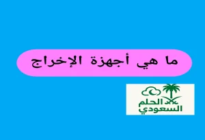 ما هي أجهزة الإخراج