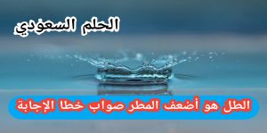 الطل هو أضعف المطر. صواب خطأ