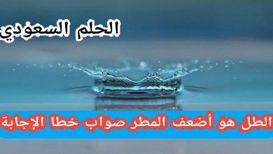 الطل هو أضعف المطر. صواب خطأ