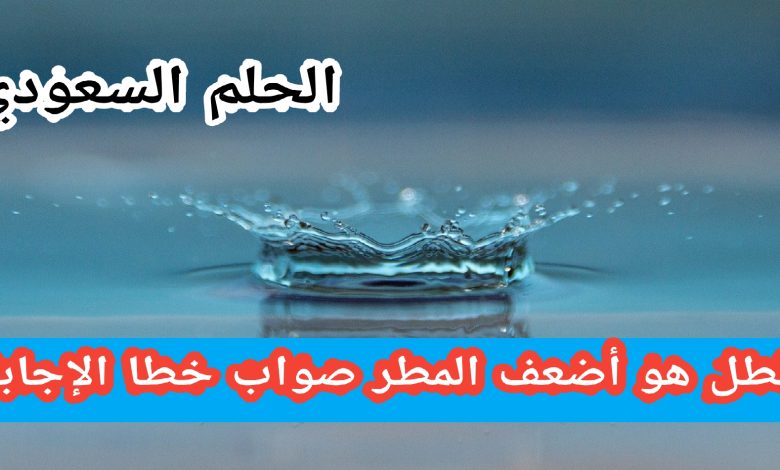 الطل هو أضعف المطر. صواب خطأ