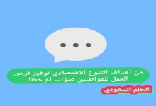 من أهداف التنوع الاقتصادي توفير فرص العمل للمواطنين صواب ام خطا