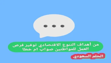 من أهداف التنوع الاقتصادي توفير فرص العمل للمواطنين صواب ام خطا
