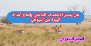 هل يتميز الإخصاب الداخلي بإنتاج أعداد كبيرة من البيوض