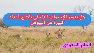 هل يتميز الإخصاب الداخلي بإنتاج أعداد كبيرة من البيوض