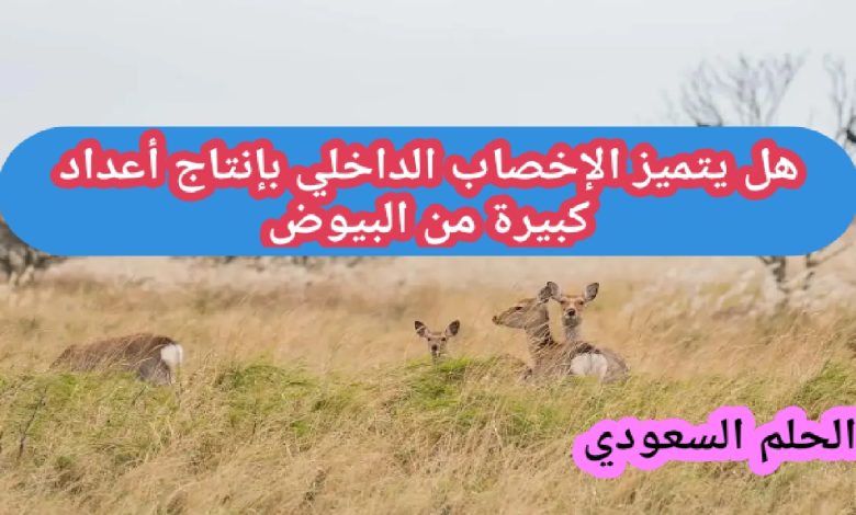 هل يتميز الإخصاب الداخلي بإنتاج أعداد كبيرة من البيوض