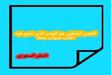 العصر الجاهلي هو العصر الذي نضج فيه الأدب صواب خطأ