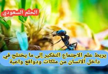 يربط علم الاجتماع التفكير إلى ما يختلج في داخل الانسان من ملكات ودوافع واعية