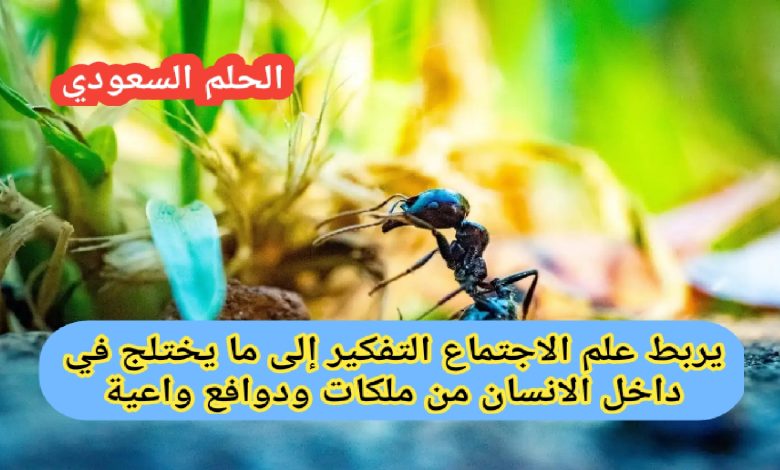 يربط علم الاجتماع التفكير إلى ما يختلج في داخل الانسان من ملكات ودوافع واعية