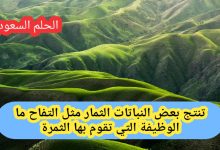 تنتج بعض النباتات الثمار مثل التفاح ما الوظيفة التي تقوم بها الثمرة
