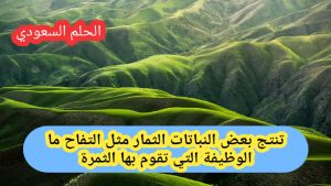 تنتج بعض النباتات الثمار مثل التفاح ما الوظيفة التي تقوم بها الثمرة