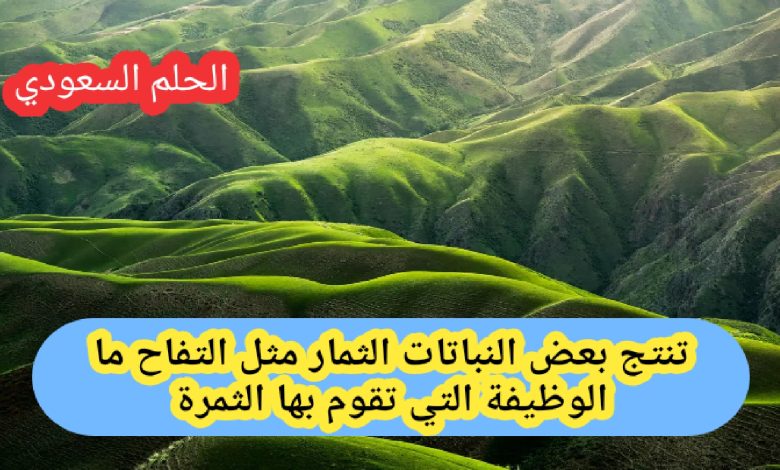 تنتج بعض النباتات الثمار مثل التفاح ما الوظيفة التي تقوم بها الثمرة