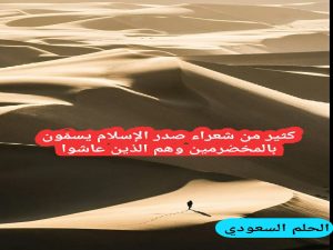 كثير من شعراء صدر الإسلام يسمّون بالمخضرمين وهم الذين عاشوا