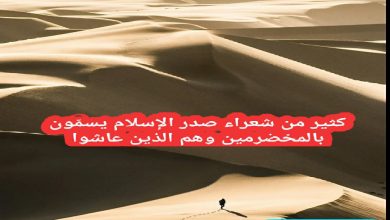 كثير من شعراء صدر الإسلام يسمّون بالمخضرمين وهم الذين عاشوا