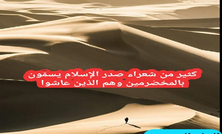 كثير من شعراء صدر الإسلام يسمّون بالمخضرمين وهم الذين عاشوا