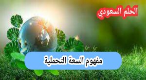 مفهوم السعة التحملية