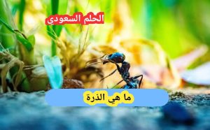 ما هي الذرة